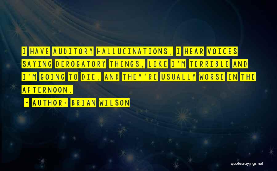 Brian Wilson Quotes: I Have Auditory Hallucinations, I Hear Voices Saying Derogatory Things, Like I'm Terrible And I'm Going To Die, And They're