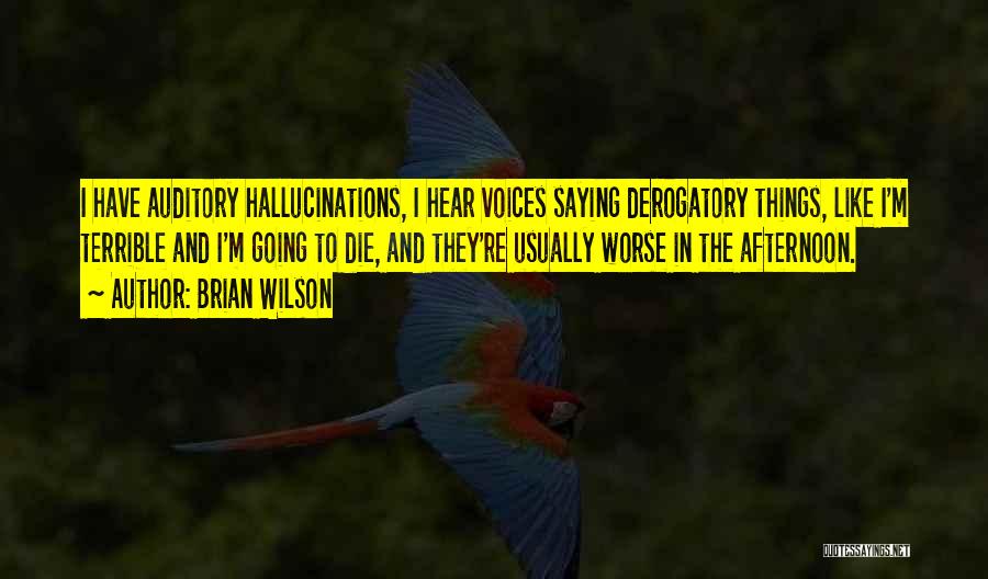 Brian Wilson Quotes: I Have Auditory Hallucinations, I Hear Voices Saying Derogatory Things, Like I'm Terrible And I'm Going To Die, And They're