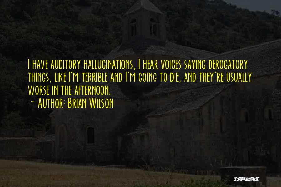 Brian Wilson Quotes: I Have Auditory Hallucinations, I Hear Voices Saying Derogatory Things, Like I'm Terrible And I'm Going To Die, And They're