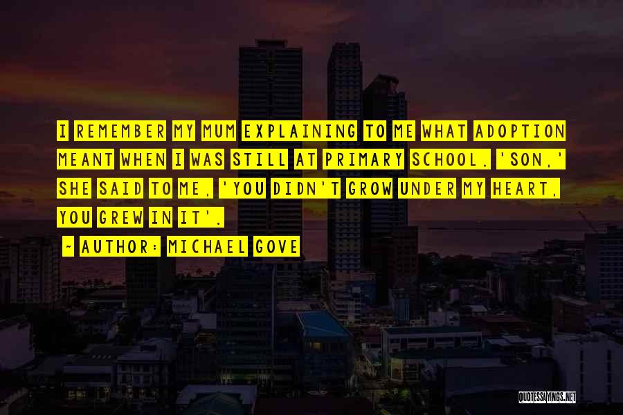 Michael Gove Quotes: I Remember My Mum Explaining To Me What Adoption Meant When I Was Still At Primary School. 'son,' She Said