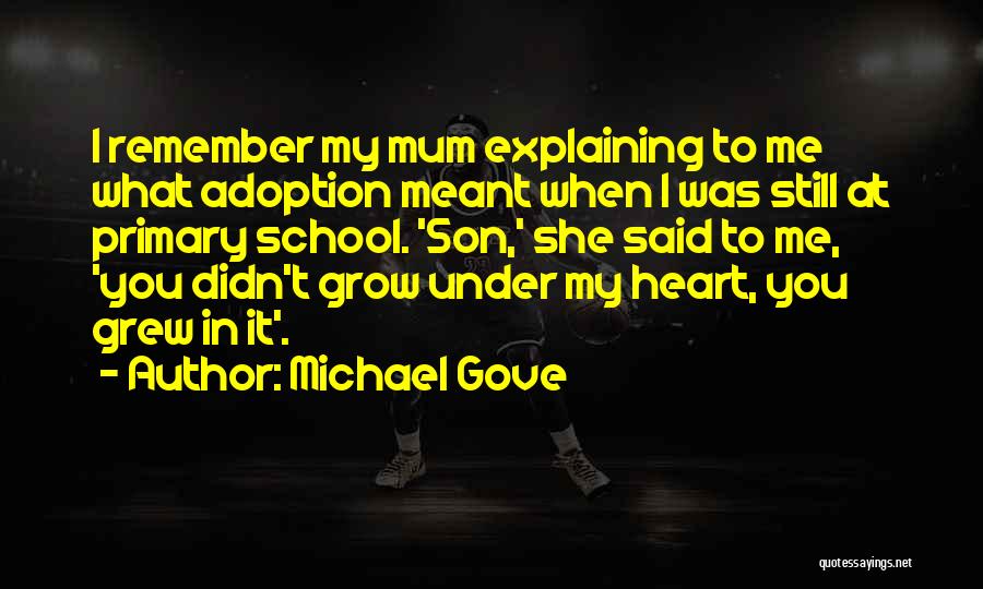 Michael Gove Quotes: I Remember My Mum Explaining To Me What Adoption Meant When I Was Still At Primary School. 'son,' She Said