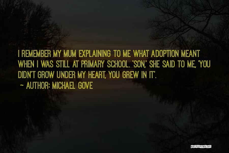 Michael Gove Quotes: I Remember My Mum Explaining To Me What Adoption Meant When I Was Still At Primary School. 'son,' She Said