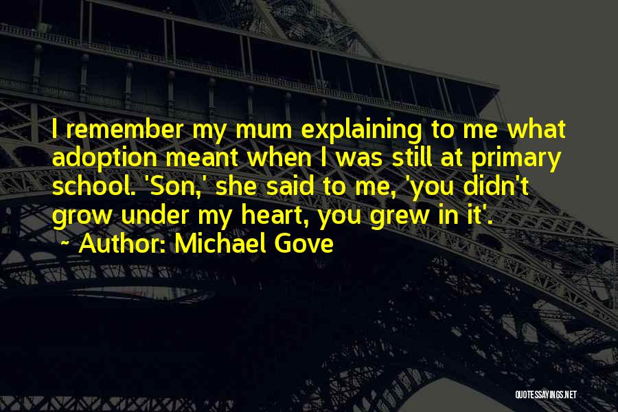 Michael Gove Quotes: I Remember My Mum Explaining To Me What Adoption Meant When I Was Still At Primary School. 'son,' She Said