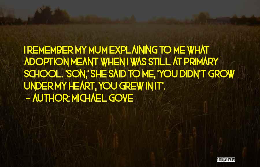 Michael Gove Quotes: I Remember My Mum Explaining To Me What Adoption Meant When I Was Still At Primary School. 'son,' She Said