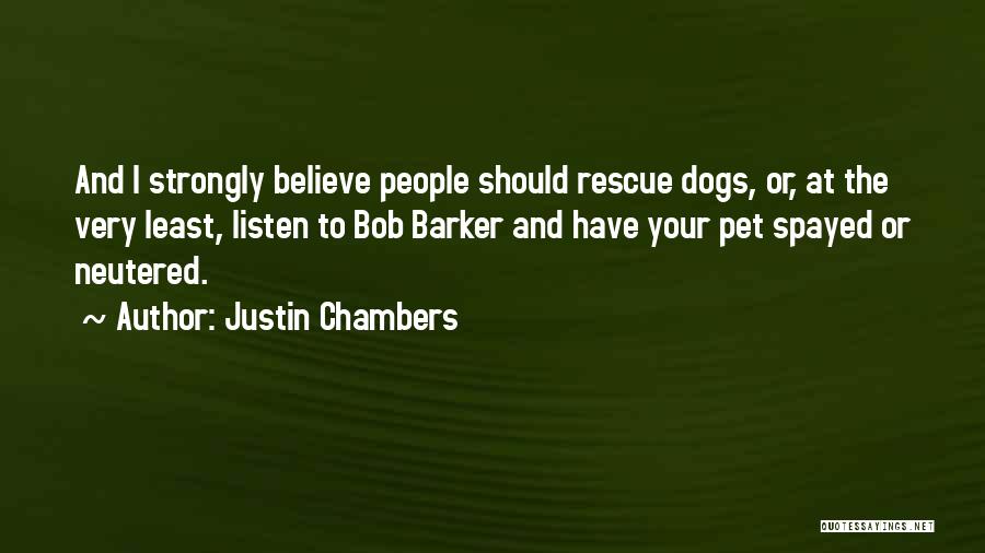 Justin Chambers Quotes: And I Strongly Believe People Should Rescue Dogs, Or, At The Very Least, Listen To Bob Barker And Have Your