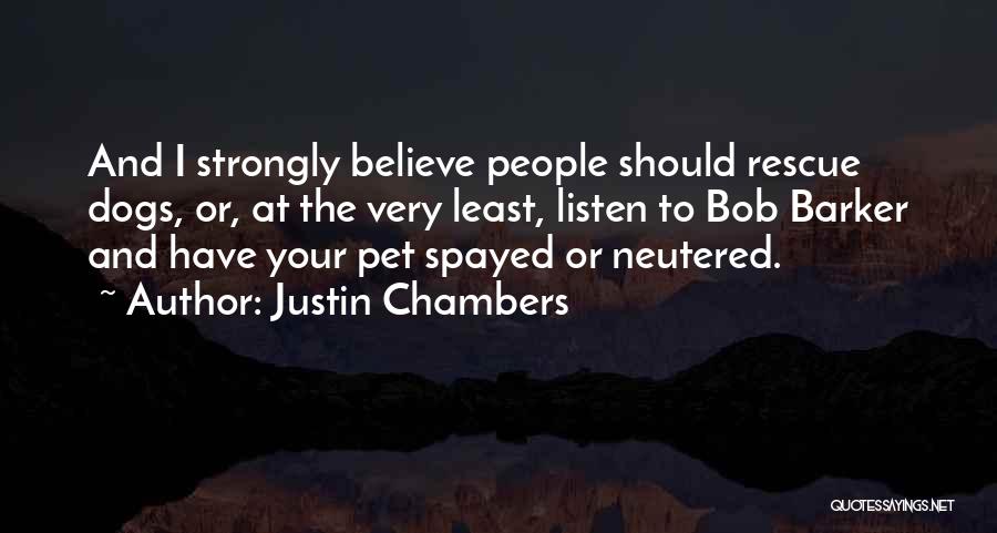Justin Chambers Quotes: And I Strongly Believe People Should Rescue Dogs, Or, At The Very Least, Listen To Bob Barker And Have Your