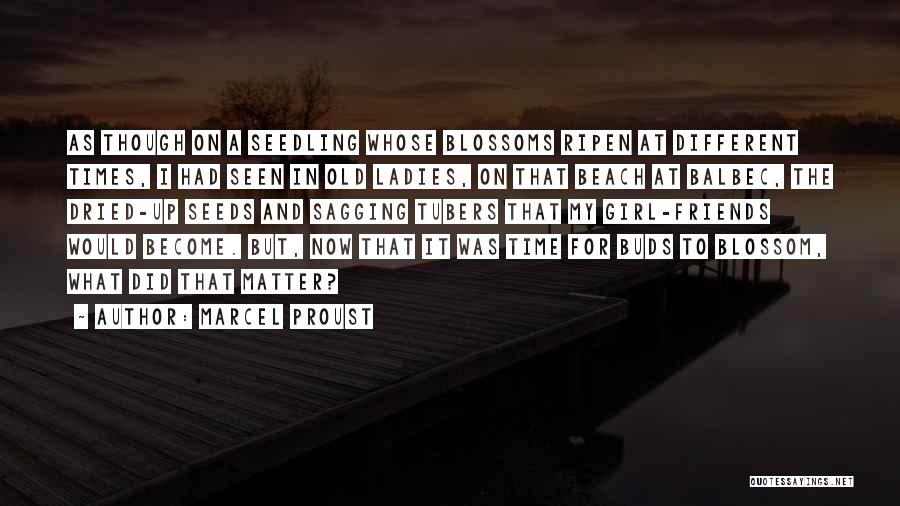 Marcel Proust Quotes: As Though On A Seedling Whose Blossoms Ripen At Different Times, I Had Seen In Old Ladies, On That Beach