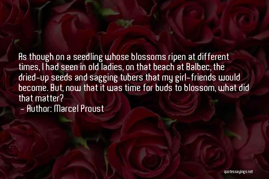 Marcel Proust Quotes: As Though On A Seedling Whose Blossoms Ripen At Different Times, I Had Seen In Old Ladies, On That Beach