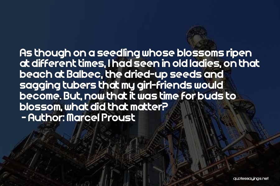 Marcel Proust Quotes: As Though On A Seedling Whose Blossoms Ripen At Different Times, I Had Seen In Old Ladies, On That Beach