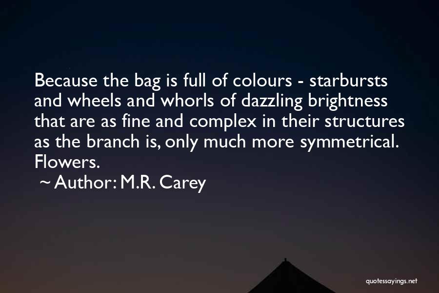 M.R. Carey Quotes: Because The Bag Is Full Of Colours - Starbursts And Wheels And Whorls Of Dazzling Brightness That Are As Fine