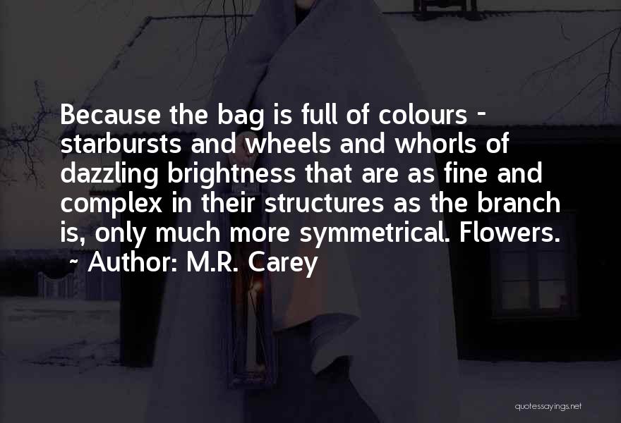 M.R. Carey Quotes: Because The Bag Is Full Of Colours - Starbursts And Wheels And Whorls Of Dazzling Brightness That Are As Fine