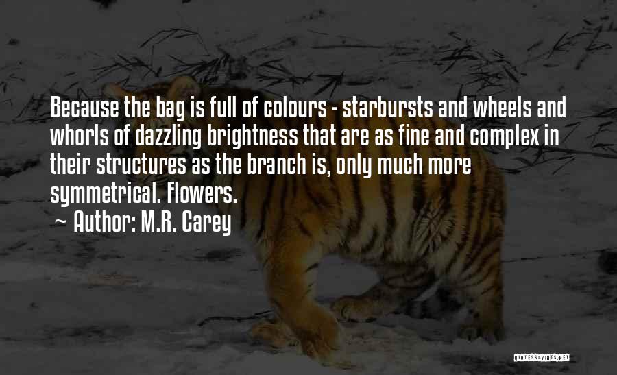 M.R. Carey Quotes: Because The Bag Is Full Of Colours - Starbursts And Wheels And Whorls Of Dazzling Brightness That Are As Fine