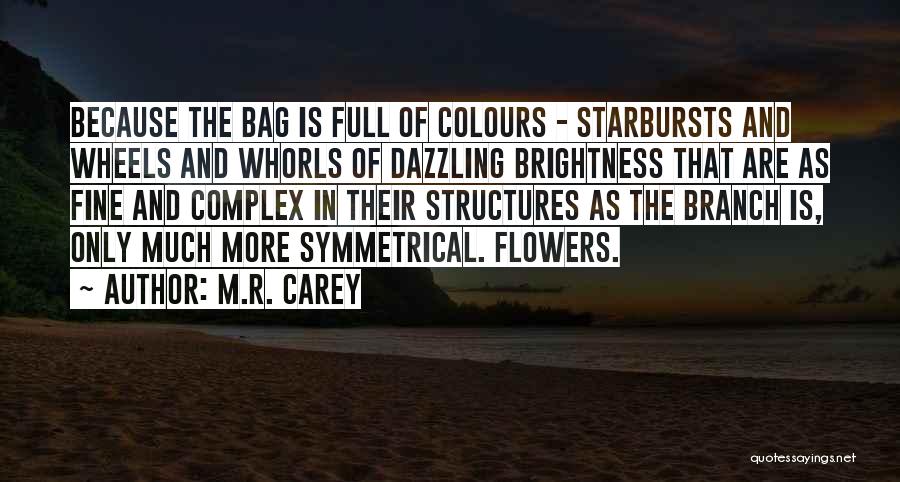 M.R. Carey Quotes: Because The Bag Is Full Of Colours - Starbursts And Wheels And Whorls Of Dazzling Brightness That Are As Fine