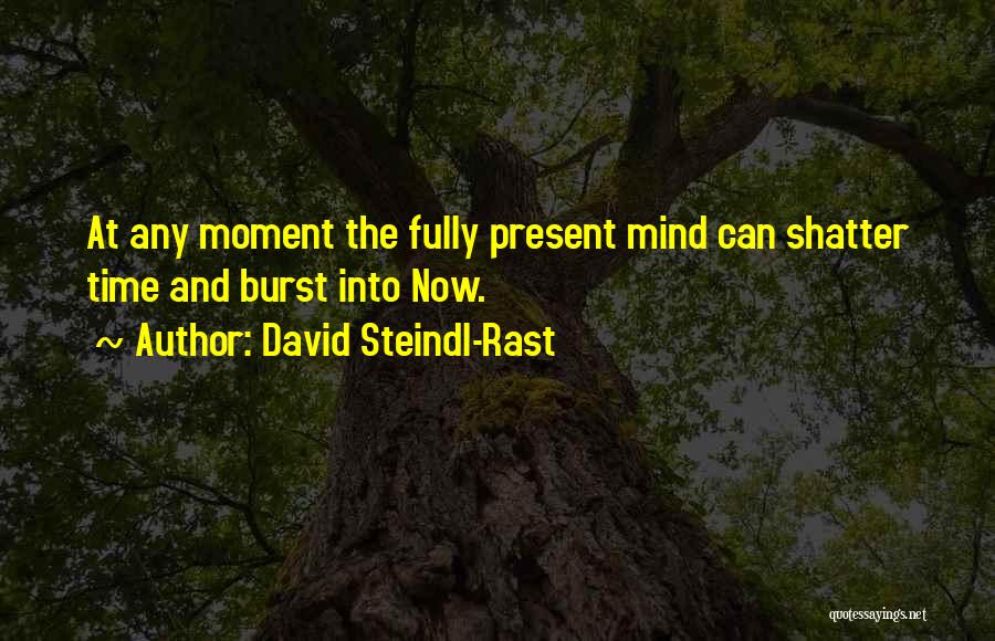 David Steindl-Rast Quotes: At Any Moment The Fully Present Mind Can Shatter Time And Burst Into Now.
