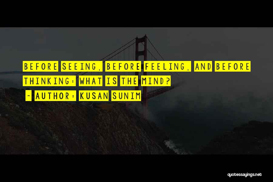 Kusan Sunim Quotes: Before Seeing, Before Feeling, And Before Thinking: What Is The Mind?