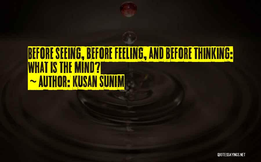 Kusan Sunim Quotes: Before Seeing, Before Feeling, And Before Thinking: What Is The Mind?