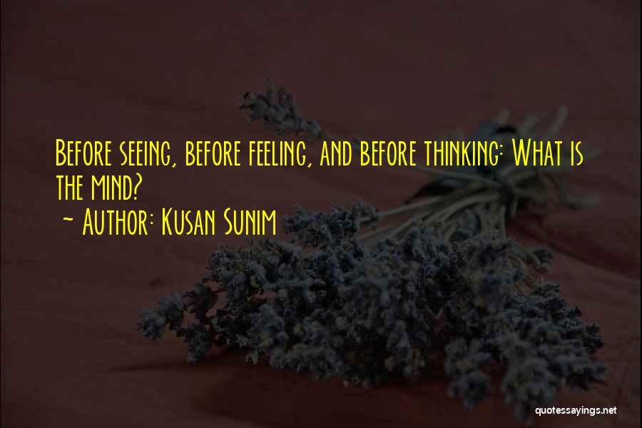 Kusan Sunim Quotes: Before Seeing, Before Feeling, And Before Thinking: What Is The Mind?