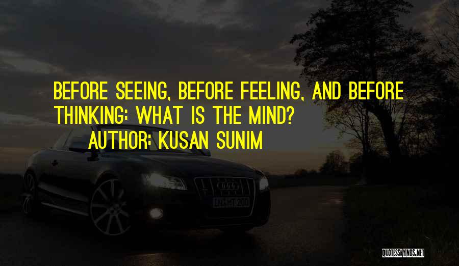 Kusan Sunim Quotes: Before Seeing, Before Feeling, And Before Thinking: What Is The Mind?