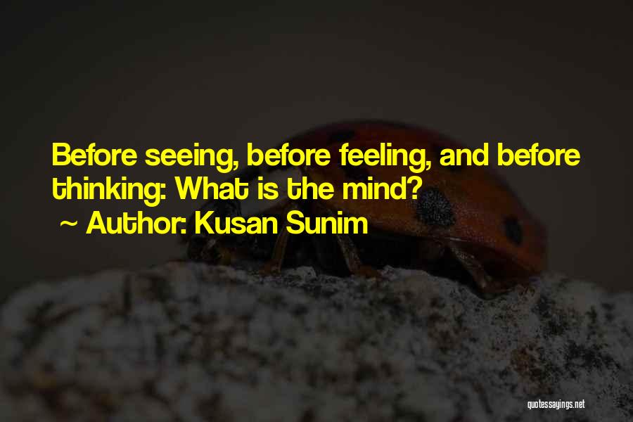 Kusan Sunim Quotes: Before Seeing, Before Feeling, And Before Thinking: What Is The Mind?