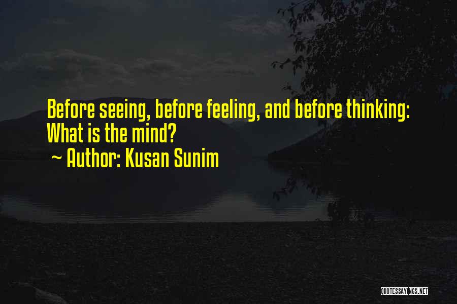 Kusan Sunim Quotes: Before Seeing, Before Feeling, And Before Thinking: What Is The Mind?