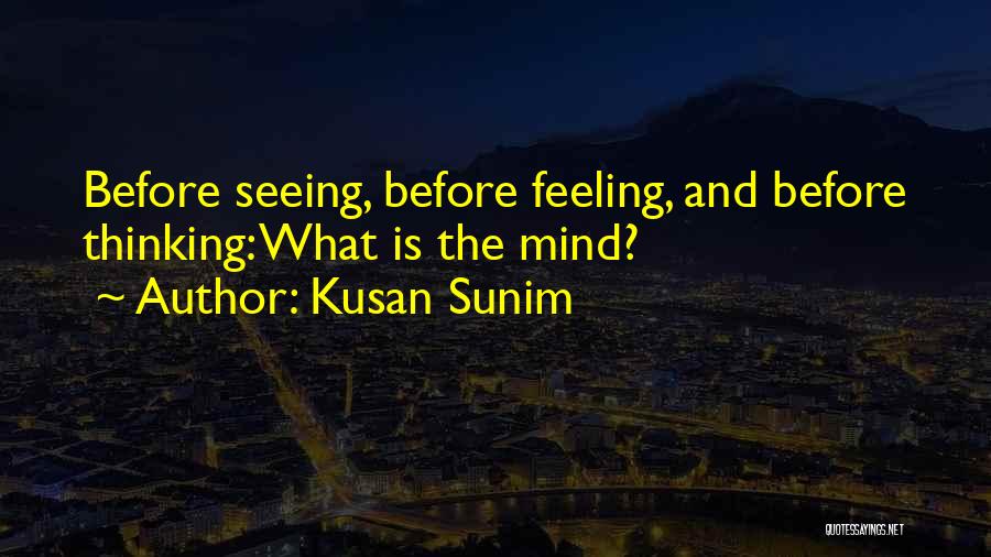 Kusan Sunim Quotes: Before Seeing, Before Feeling, And Before Thinking: What Is The Mind?