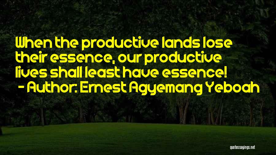 Ernest Agyemang Yeboah Quotes: When The Productive Lands Lose Their Essence, Our Productive Lives Shall Least Have Essence!