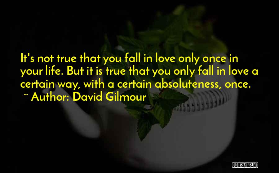 David Gilmour Quotes: It's Not True That You Fall In Love Only Once In Your Life. But It Is True That You Only