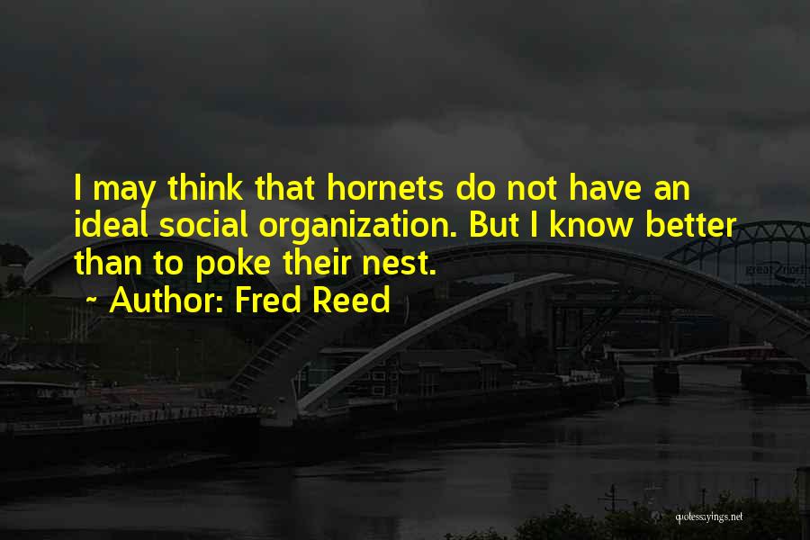 Fred Reed Quotes: I May Think That Hornets Do Not Have An Ideal Social Organization. But I Know Better Than To Poke Their