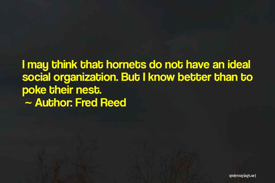 Fred Reed Quotes: I May Think That Hornets Do Not Have An Ideal Social Organization. But I Know Better Than To Poke Their