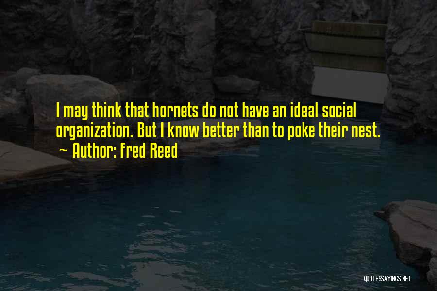 Fred Reed Quotes: I May Think That Hornets Do Not Have An Ideal Social Organization. But I Know Better Than To Poke Their