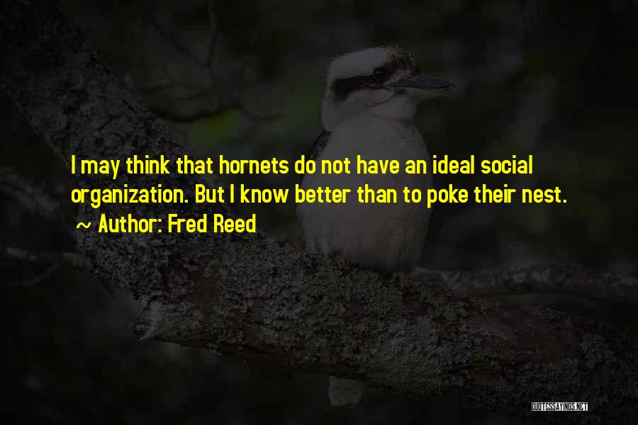 Fred Reed Quotes: I May Think That Hornets Do Not Have An Ideal Social Organization. But I Know Better Than To Poke Their