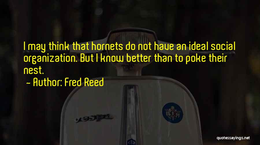 Fred Reed Quotes: I May Think That Hornets Do Not Have An Ideal Social Organization. But I Know Better Than To Poke Their