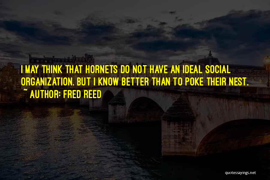 Fred Reed Quotes: I May Think That Hornets Do Not Have An Ideal Social Organization. But I Know Better Than To Poke Their