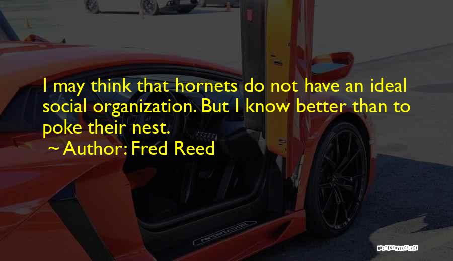 Fred Reed Quotes: I May Think That Hornets Do Not Have An Ideal Social Organization. But I Know Better Than To Poke Their