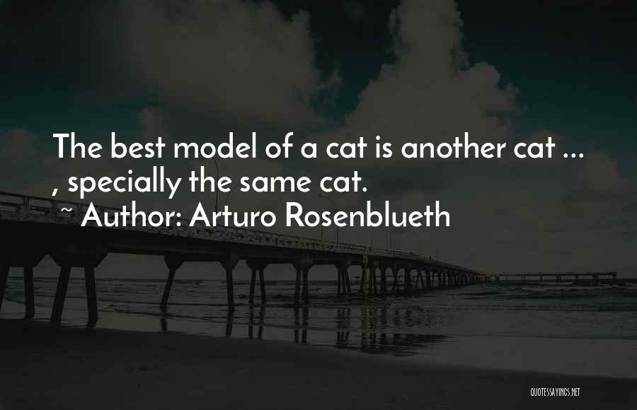 Arturo Rosenblueth Quotes: The Best Model Of A Cat Is Another Cat ... , Specially The Same Cat.