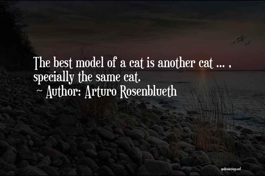 Arturo Rosenblueth Quotes: The Best Model Of A Cat Is Another Cat ... , Specially The Same Cat.