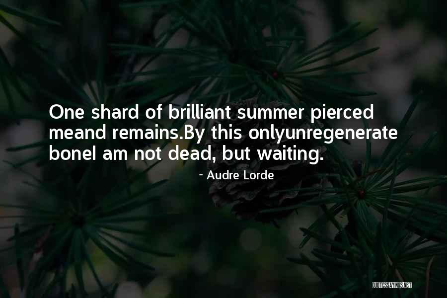 79407 Quotes By Audre Lorde 79407 Quotes By Audre Lorde