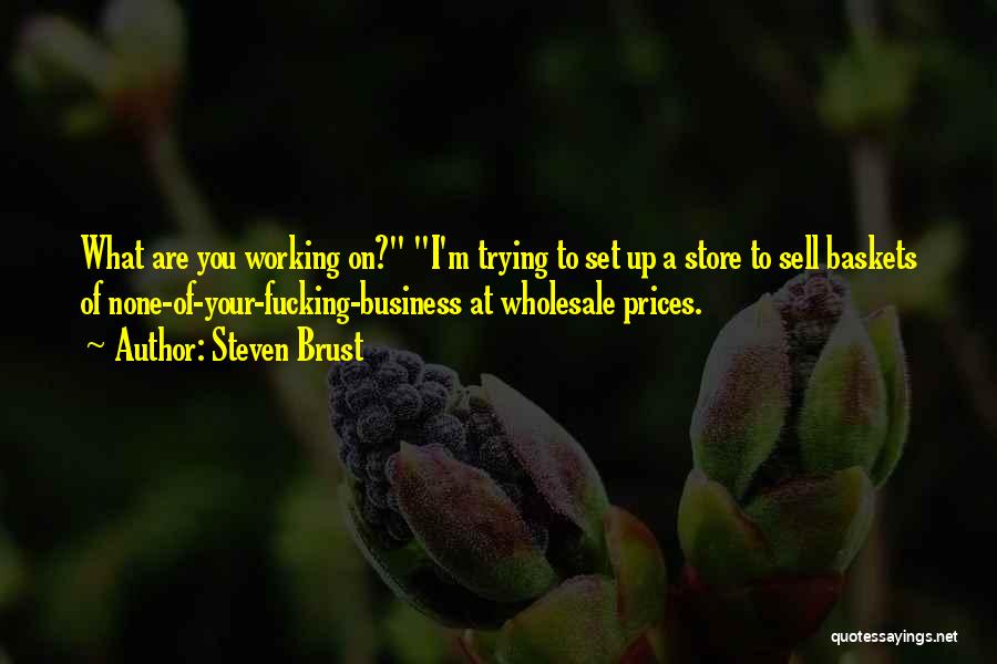 Steven Brust Quotes: What Are You Working On? I'm Trying To Set Up A Store To Sell Baskets Of None-of-your-fucking-business At Wholesale Prices.