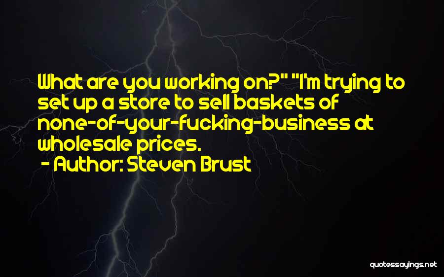 Steven Brust Quotes: What Are You Working On? I'm Trying To Set Up A Store To Sell Baskets Of None-of-your-fucking-business At Wholesale Prices.