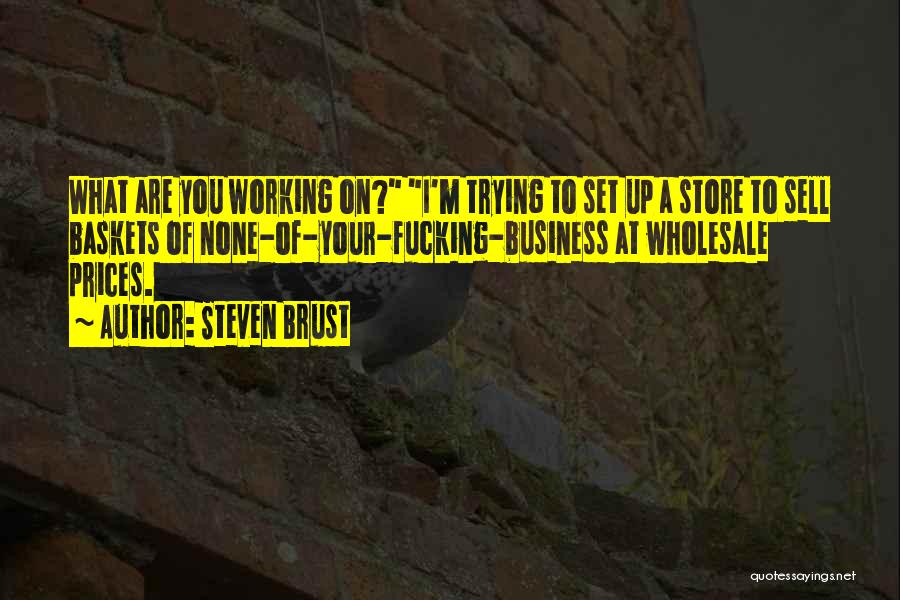 Steven Brust Quotes: What Are You Working On? I'm Trying To Set Up A Store To Sell Baskets Of None-of-your-fucking-business At Wholesale Prices.