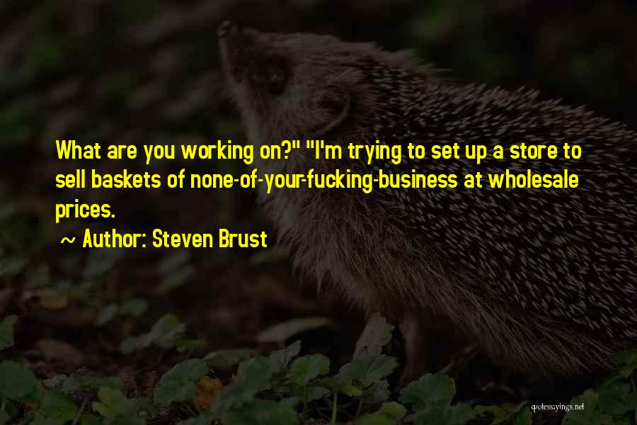 Steven Brust Quotes: What Are You Working On? I'm Trying To Set Up A Store To Sell Baskets Of None-of-your-fucking-business At Wholesale Prices.