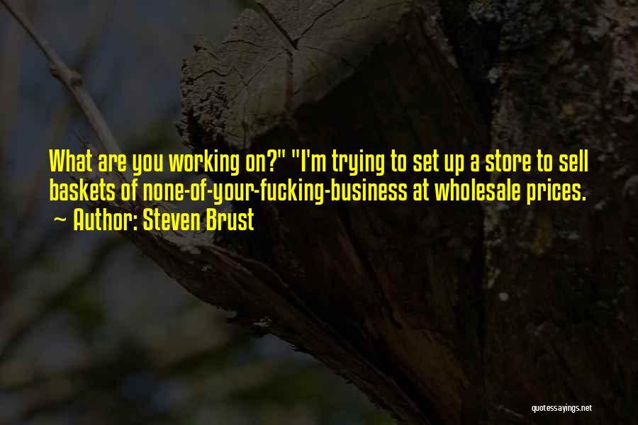 Steven Brust Quotes: What Are You Working On? I'm Trying To Set Up A Store To Sell Baskets Of None-of-your-fucking-business At Wholesale Prices.