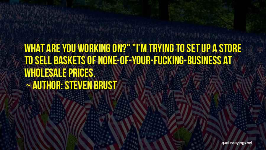 Steven Brust Quotes: What Are You Working On? I'm Trying To Set Up A Store To Sell Baskets Of None-of-your-fucking-business At Wholesale Prices.