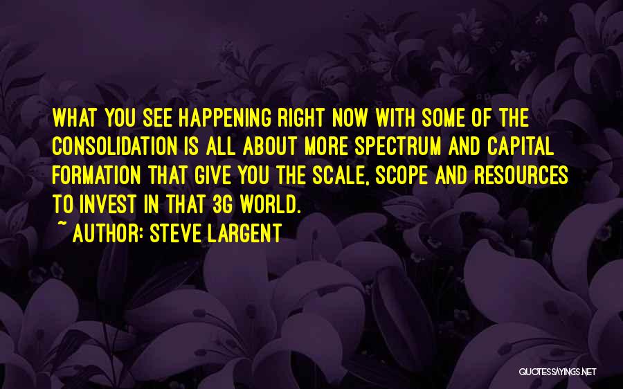 Steve Largent Quotes: What You See Happening Right Now With Some Of The Consolidation Is All About More Spectrum And Capital Formation That