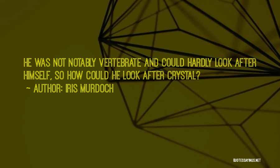 Iris Murdoch Quotes: He Was Not Notably Vertebrate And Could Hardly Look After Himself, So How Could He Look After Crystal?