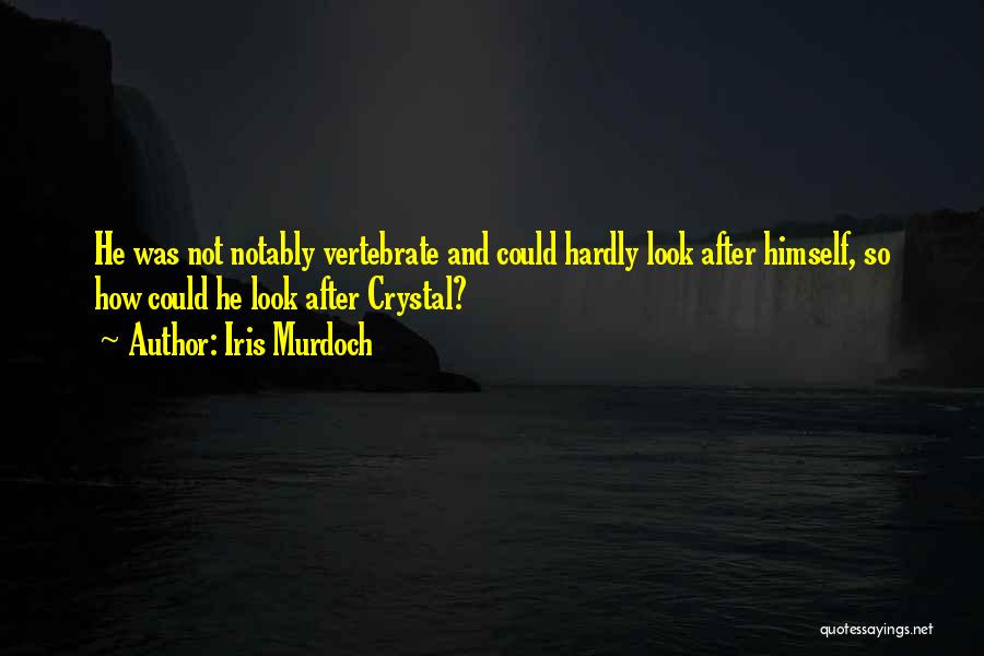 Iris Murdoch Quotes: He Was Not Notably Vertebrate And Could Hardly Look After Himself, So How Could He Look After Crystal?