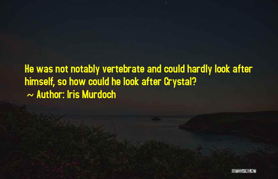 Iris Murdoch Quotes: He Was Not Notably Vertebrate And Could Hardly Look After Himself, So How Could He Look After Crystal?