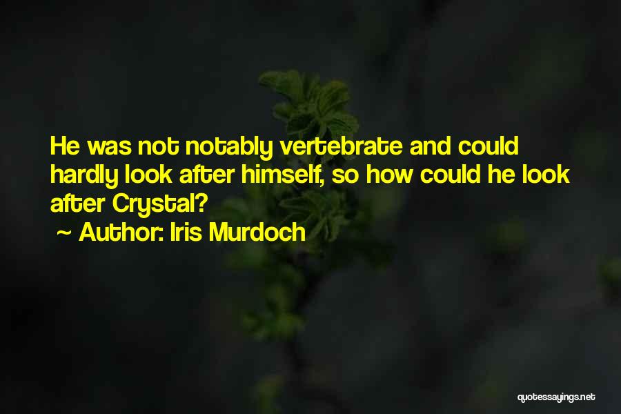 Iris Murdoch Quotes: He Was Not Notably Vertebrate And Could Hardly Look After Himself, So How Could He Look After Crystal?