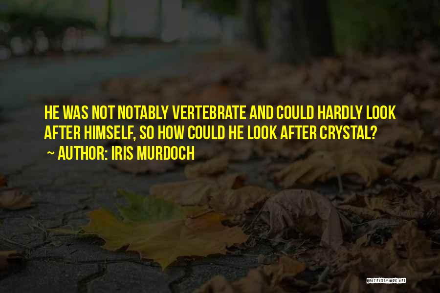 Iris Murdoch Quotes: He Was Not Notably Vertebrate And Could Hardly Look After Himself, So How Could He Look After Crystal?