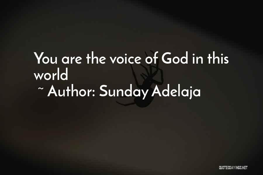 Sunday Adelaja Quotes: You Are The Voice Of God In This World